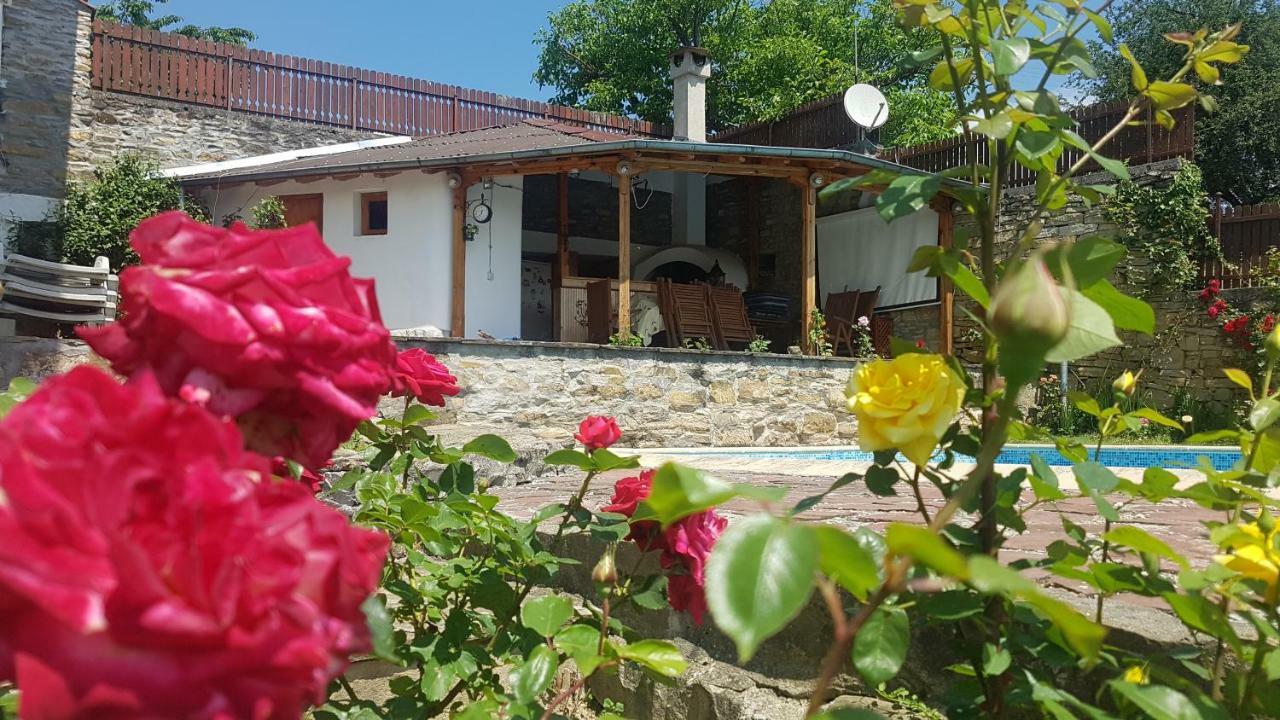 Rosarium Residence Guest House 德里亚诺沃 外观 照片